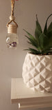 Skull scent diffuser with natural wood diffuser lid and tan string with natural wooden bead hanging next to a plant.